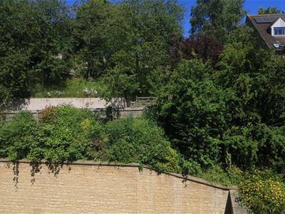 Picture 9